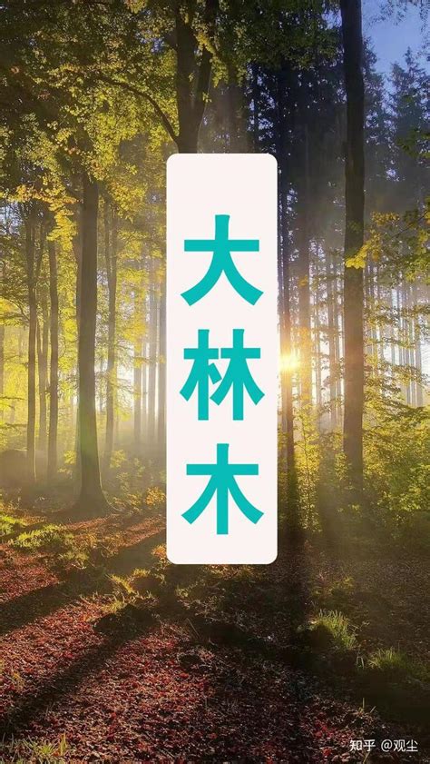 大林木|什麼叫大林木命 戊辰己巳的五行納音